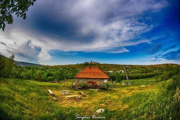 Casa Agricultorului Varzari Butuceny Экстерьер фото