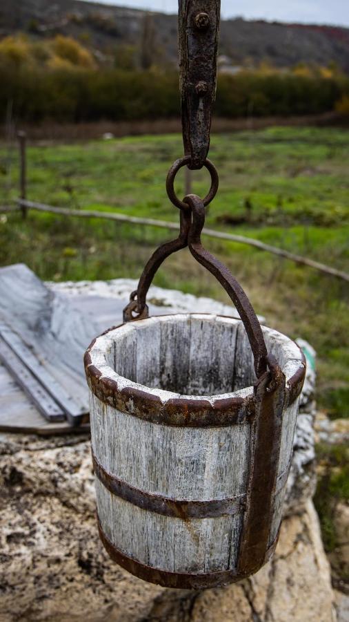 Casa Agricultorului Varzari Butuceny Экстерьер фото