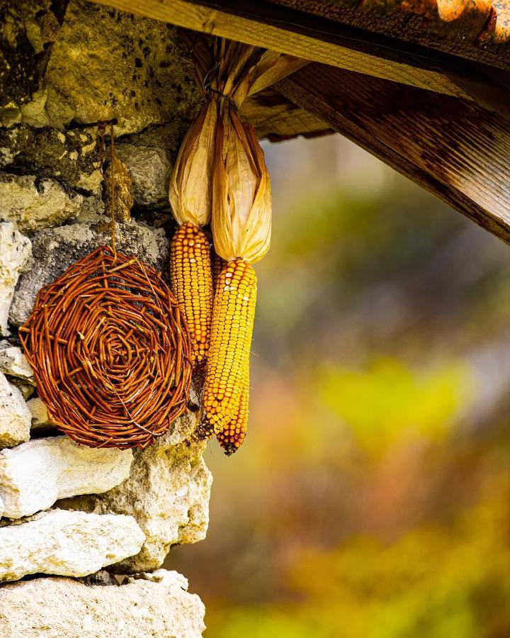 Casa Agricultorului Varzari Butuceny Экстерьер фото