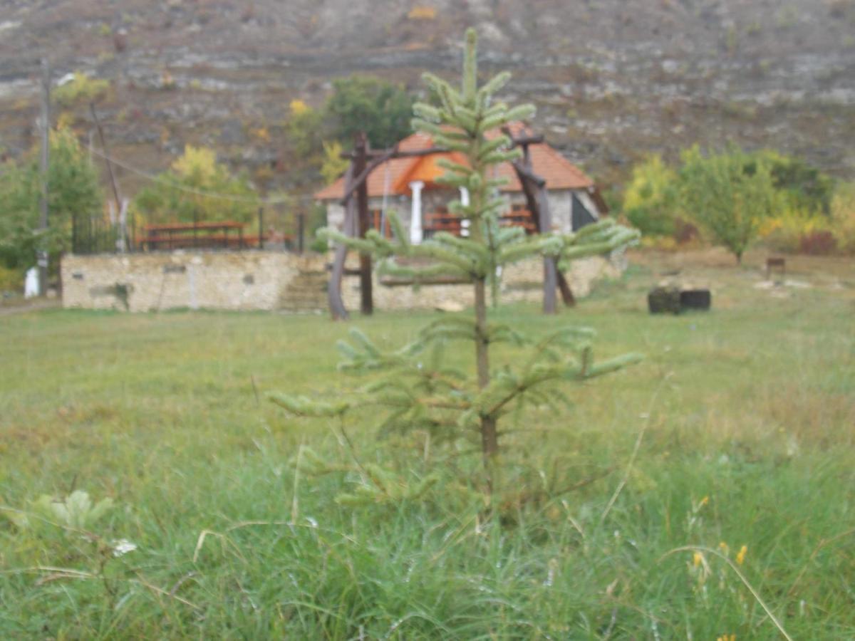 Casa Agricultorului Varzari Butuceny Экстерьер фото